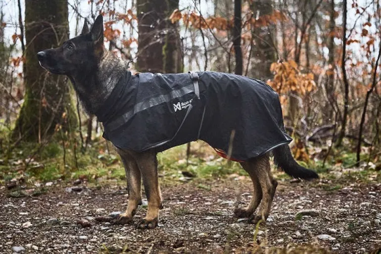 Non-stop dogwear Trekking koiran sadetakki