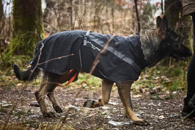 Non-stop dogwear Trekking koiran sadetakki