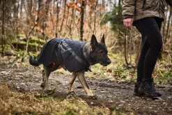 Non-stop dogwear Trekking koiran sadetakki
