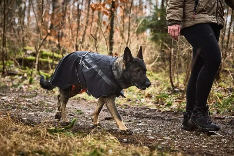 Non-stop dogwear Trekking koiran sadetakki