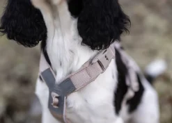 Non-stop dogwear Trekking line harness CLIP'N™ koiran valjaat, beige