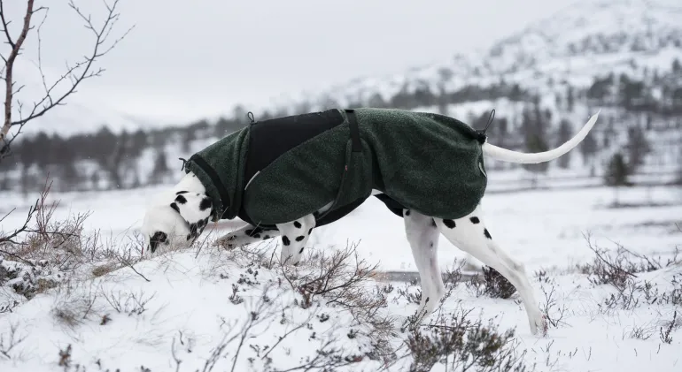 Non-stop dogwear Wool Dog Jacket koiran takki