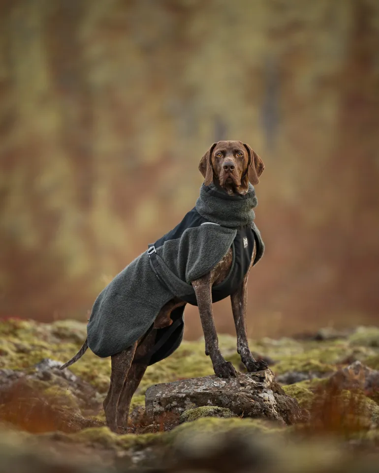 Non-stop dogwear Wool Dog Jacket koiran takki
