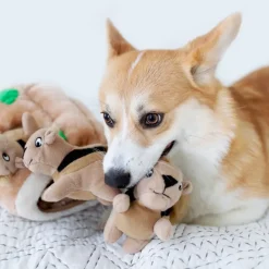 Outward hound Hide A Squirrel koiran aktivointilelu