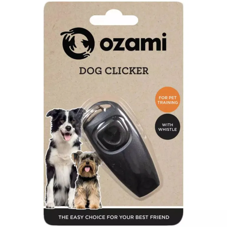 Ozami Naksutin pillillä