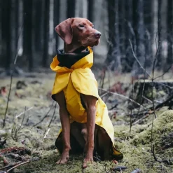 PAIKKA Heijastava koiran sadetakki, keltainen