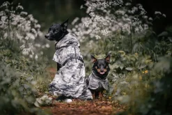 PAIKKA Recovery Raincoat koiran sadetakki, camo
