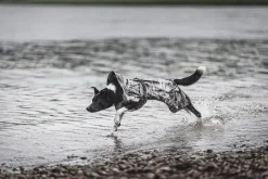 PAIKKA Recovery Raincoat koiran sadetakki, camo