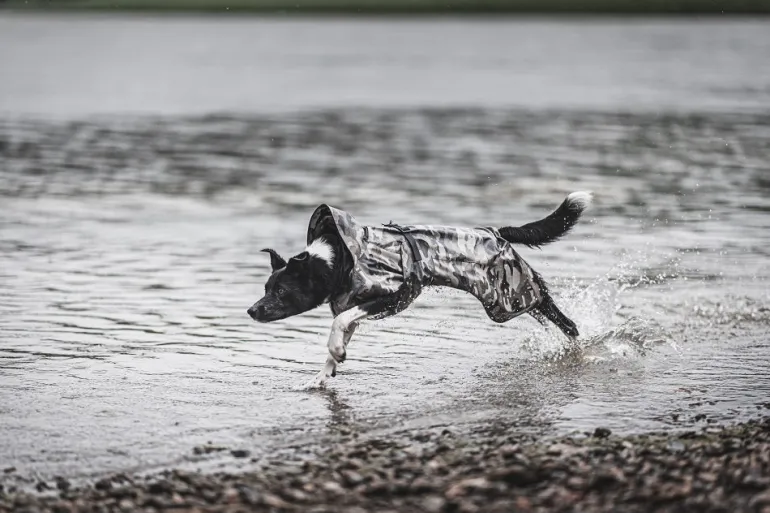 PAIKKA Recovery Raincoat koiran sadetakki, camo
