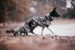 PAIKKA Recovery Raincoat koiran sadetakki, camo