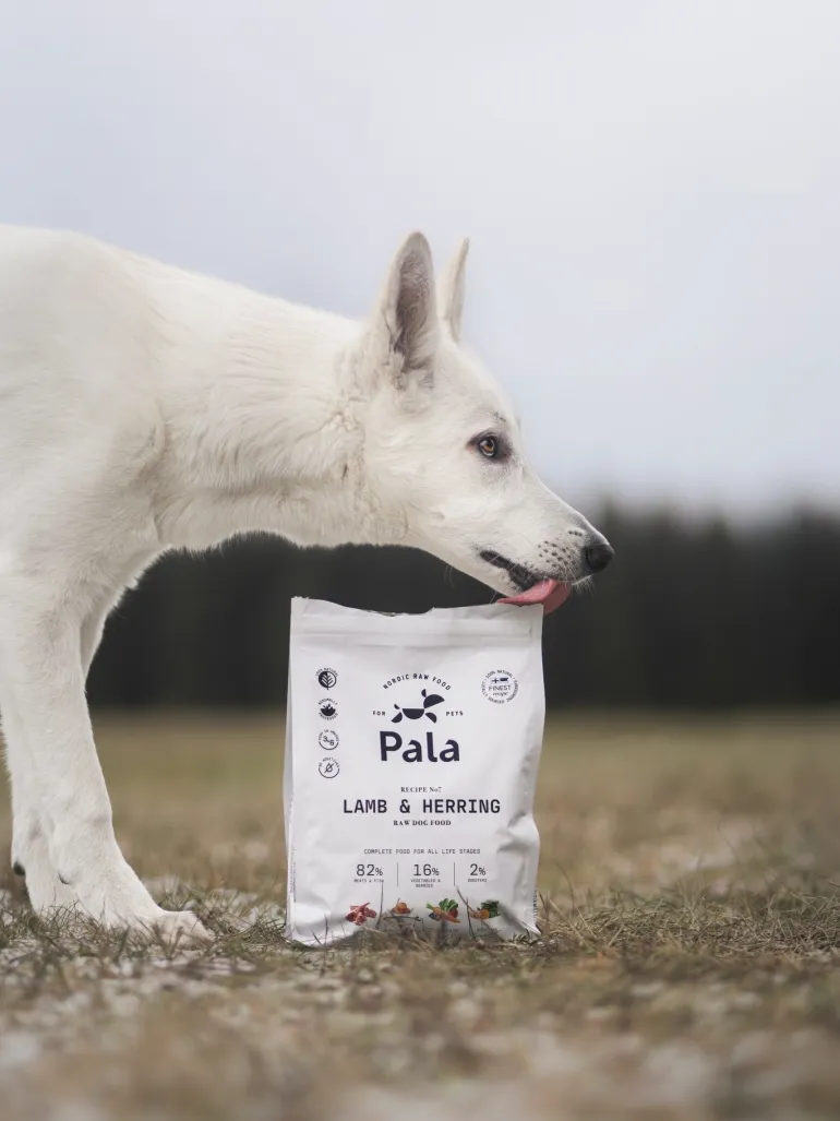 Pala Resepti #7 Lammas ja silli viljaton koiranruoka