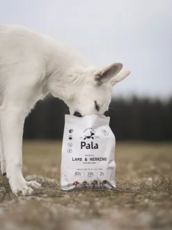 Pala Resepti #7 Lammas ja silli viljaton koiranruoka