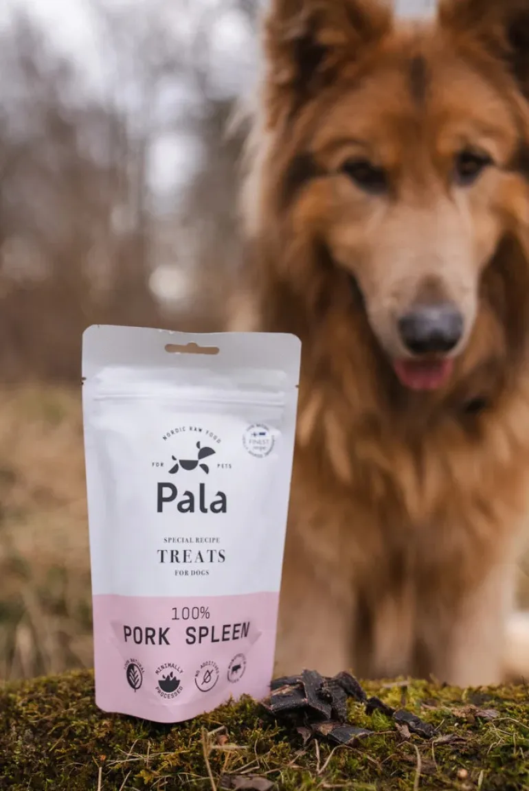 Pala Treats porsaan perna 100 g