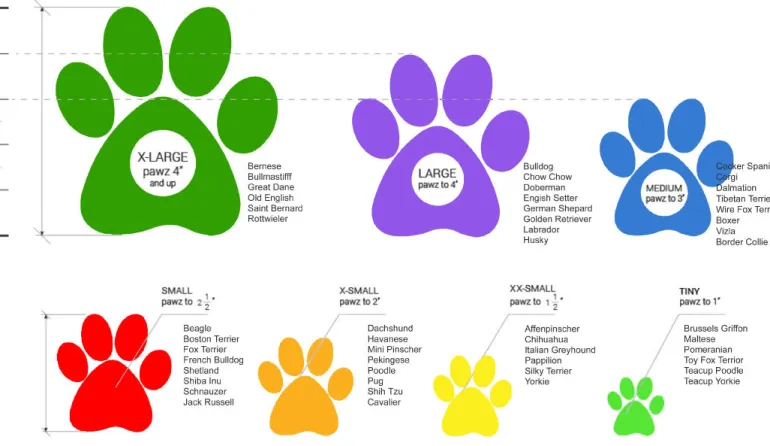 Pawz suojatossut