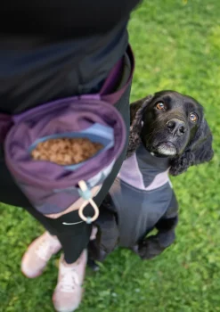 Pomppa Treat Bag