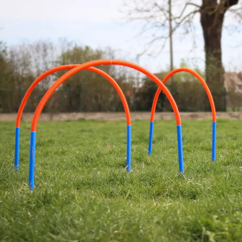 Procyon alarimaton hoopers estesetti 4 kpl