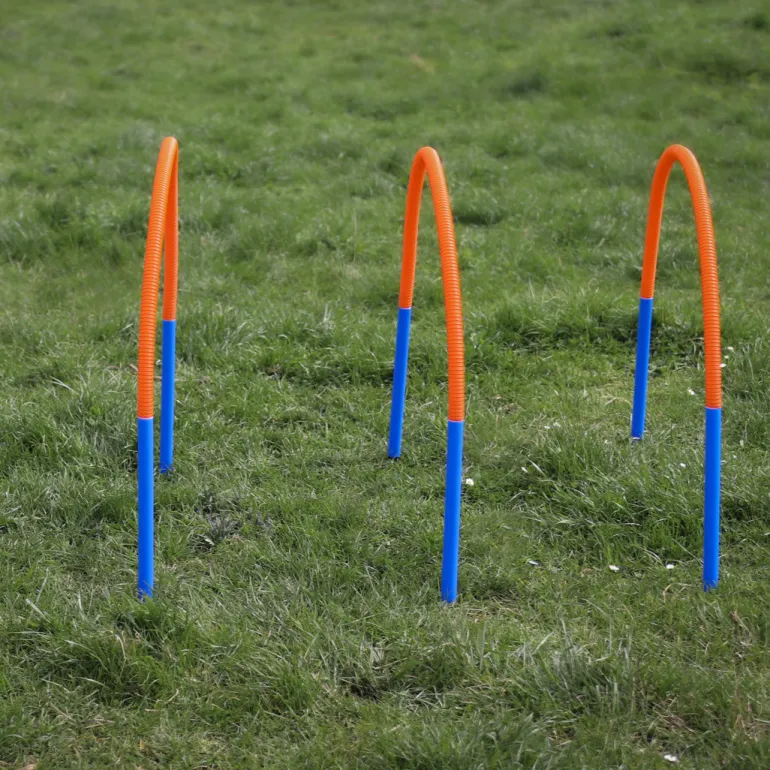 Procyon alarimaton hoopers estesetti 4 kpl