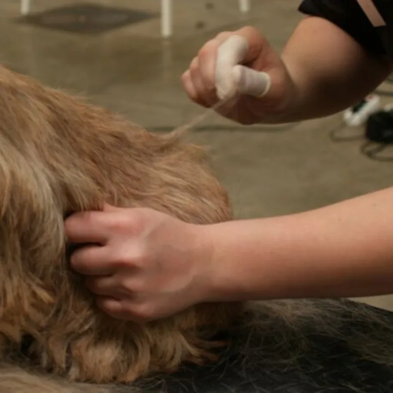 Show Tech Sormikumit 100 kpl