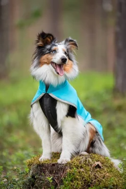 SporttiPomppa Arctic