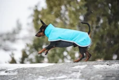SporttiPomppa Arctic