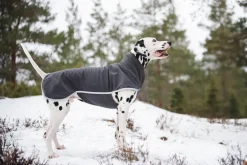SporttiPomppa Graphite