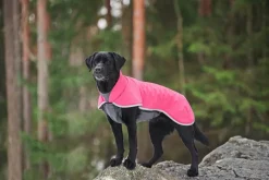 SporttiPomppa Pink