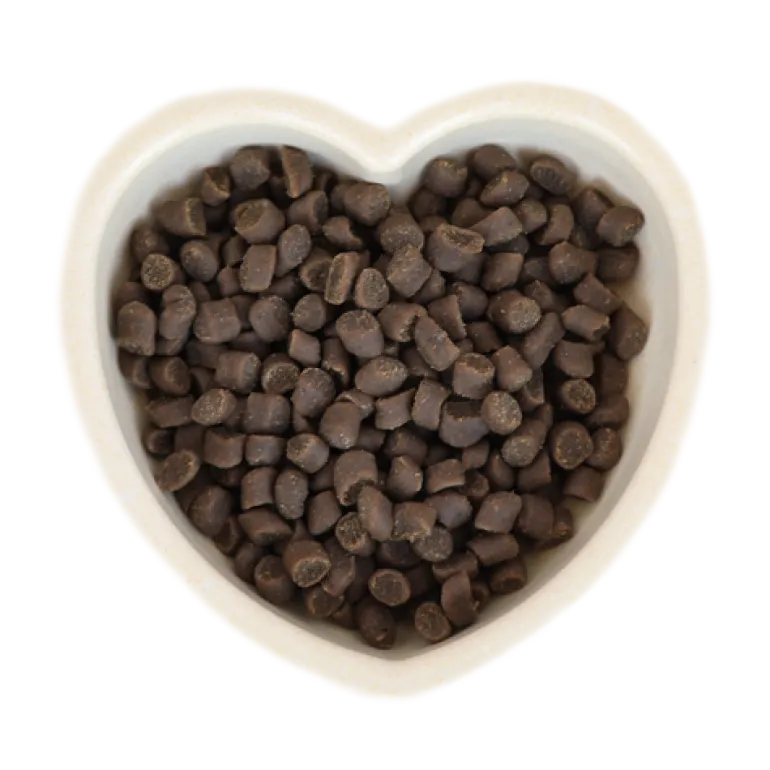 Swiss Natural Adult Mini possu 1 kg puolikostea täysravinto