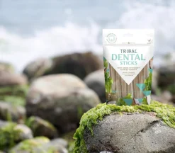 Tribal Dental Sticks S 7 kpl hampaidenhoitoherkut