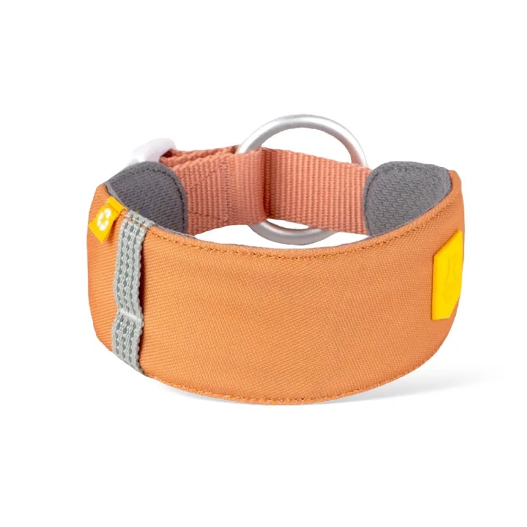Woolly Wolf Alpha 360 koiran panta, Golden Hour