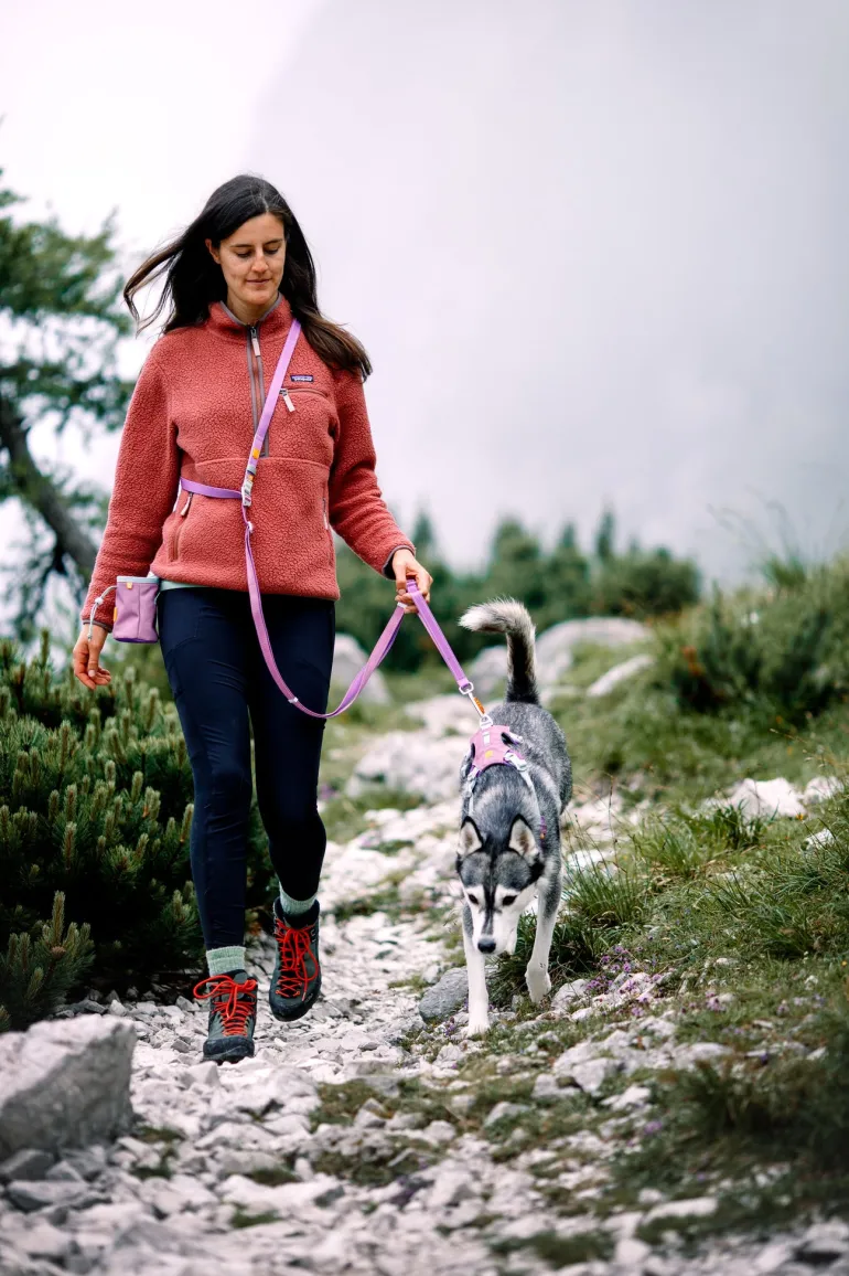 Woolly Wolf Alpha 360 makupalapussi, Mauve
