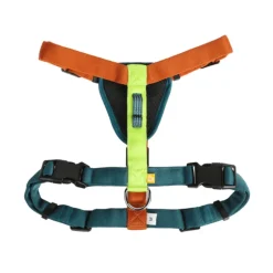Woolly Wolf Color Block koiran valjaat, Lime