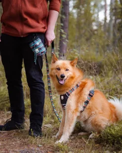 Woolly Wolf Koiran talutin, Woodland