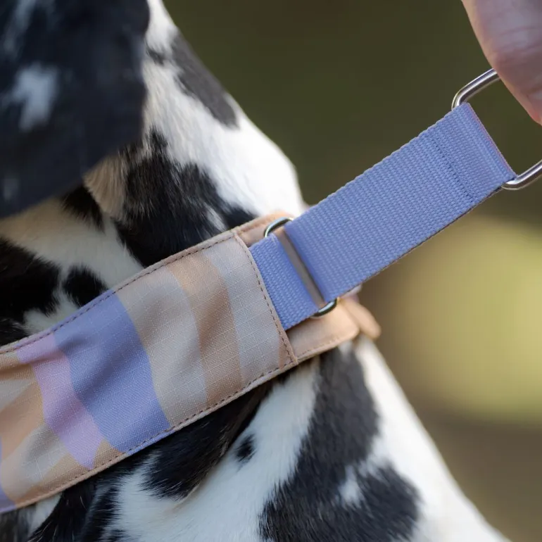 Woolly Wolf Sunshower Soft Martingale kaulapanta