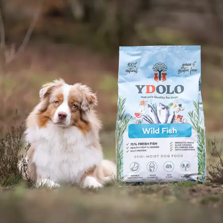 YDOLO Healthy & Pure Wild Fish puolikostea koiranruoka