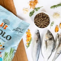YDOLO Healthy & Pure Wild Fish puolikostea koiranruoka