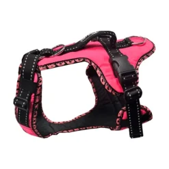 Zero DC Easy Peasy Royal koiran valjaat, neonpinkki