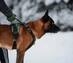 Zero DC Kodiak koiran valjaat, army