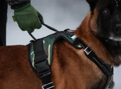 Zero DC Kodiak koiran valjaat, army