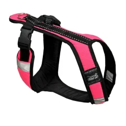 Zero DC Short koiran valjaat, neonpinkki